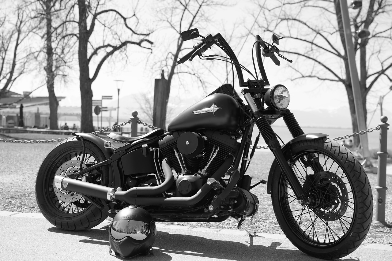 Image - harley harley davidson motorcycle