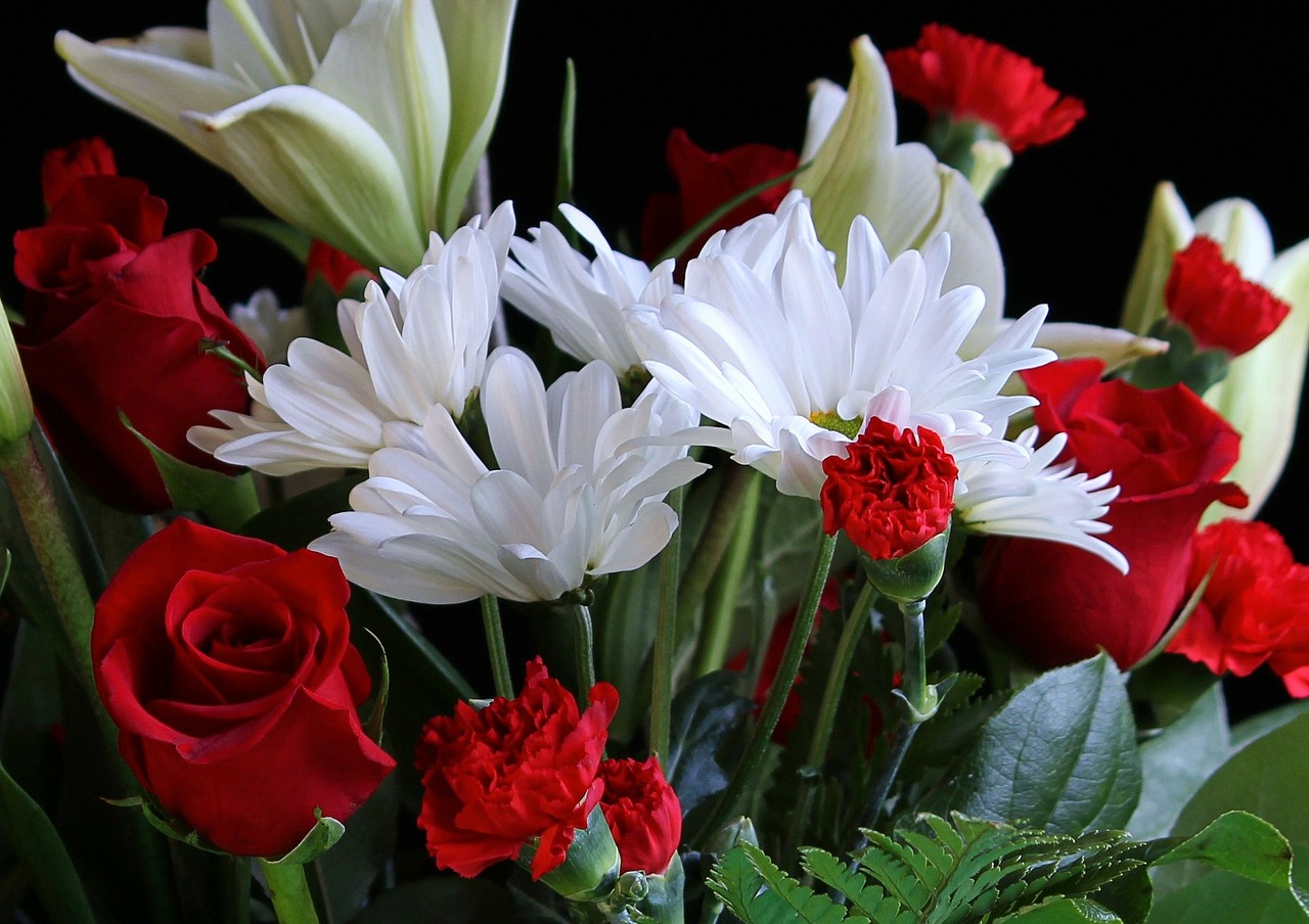 Image - white daisys red carnations