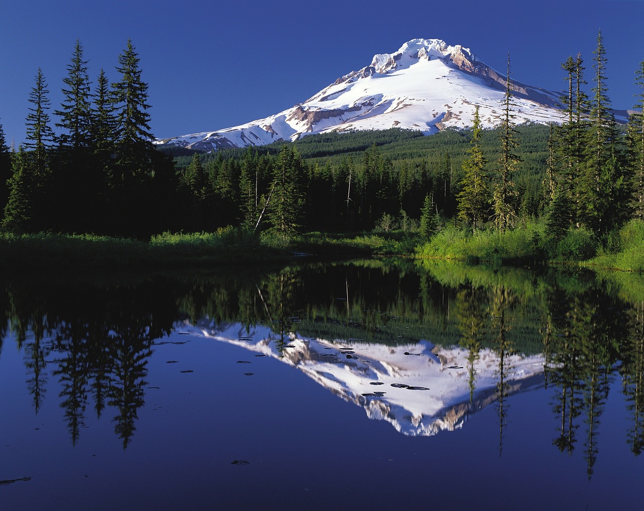 Image - mount hood oregon volcano