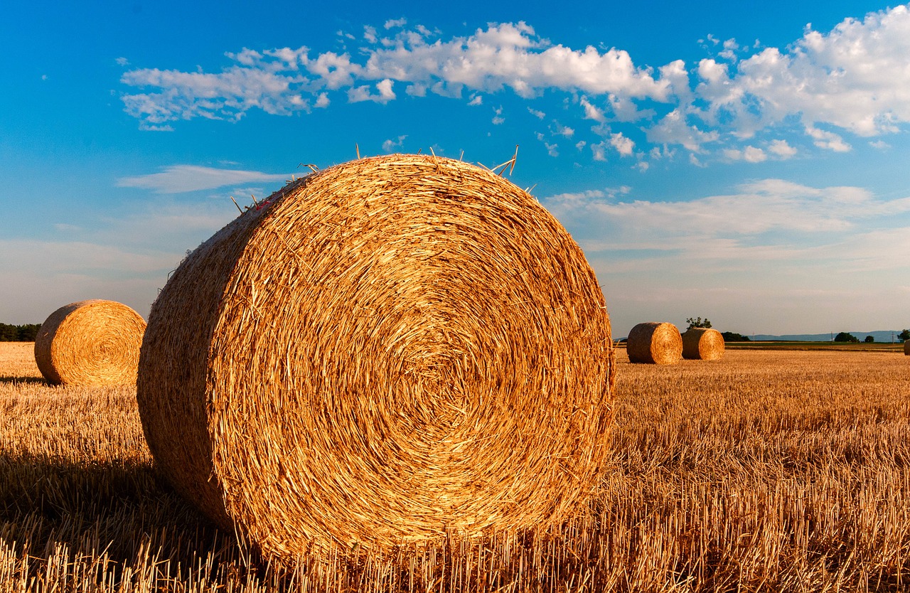 Image - straw bales stubble agriculture