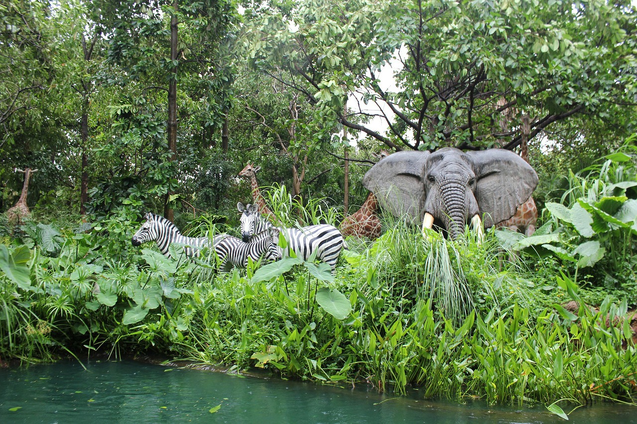 Image - jungle animals zebra elephants