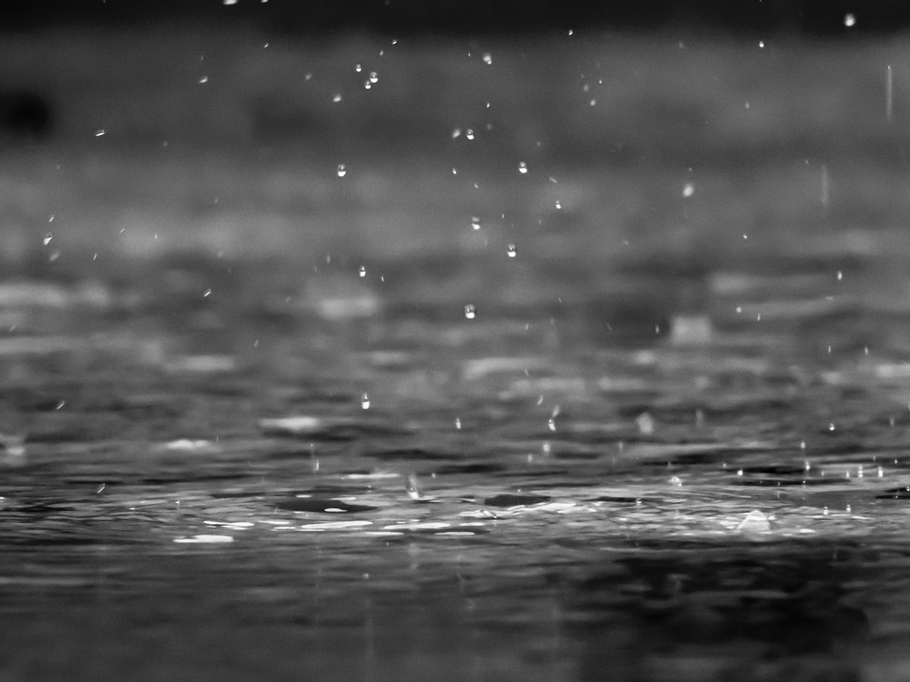 Image - rain drops black and white close up