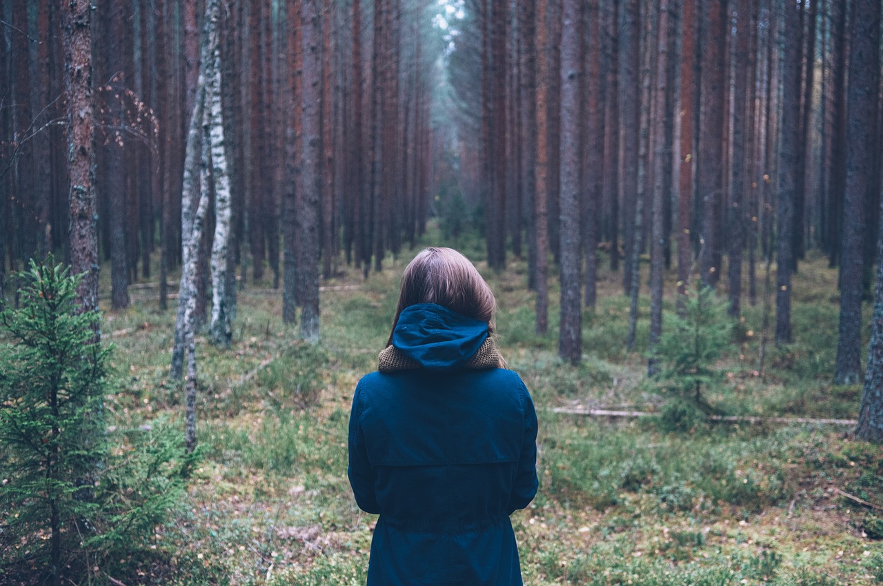 Image - person forest outdoor standing