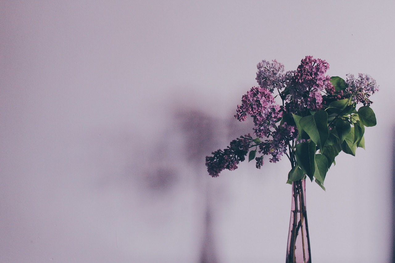 Image - flower bouquet syringa lilac