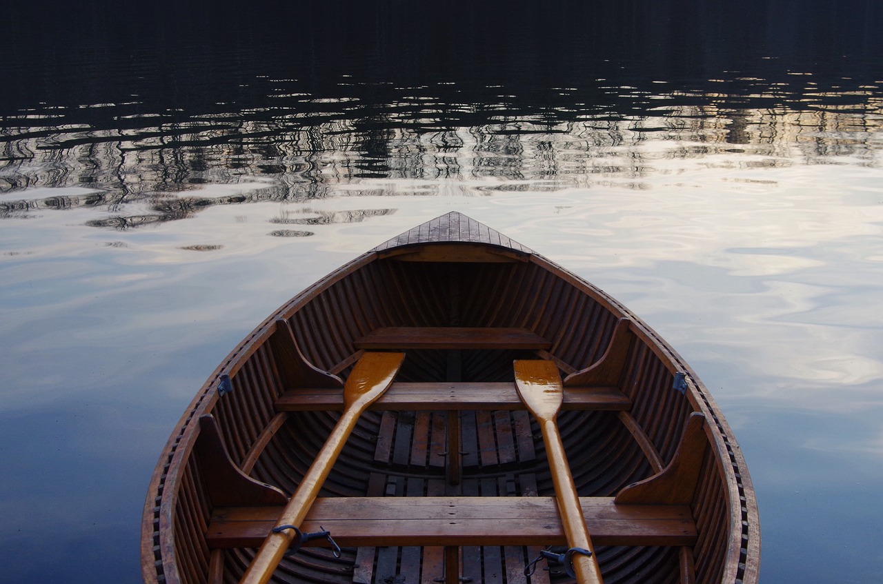 Image - boat rowing swimming water calm