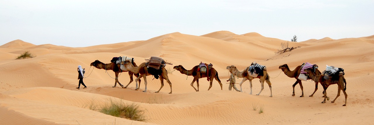 Image - tunisia desert caravan sand sahara