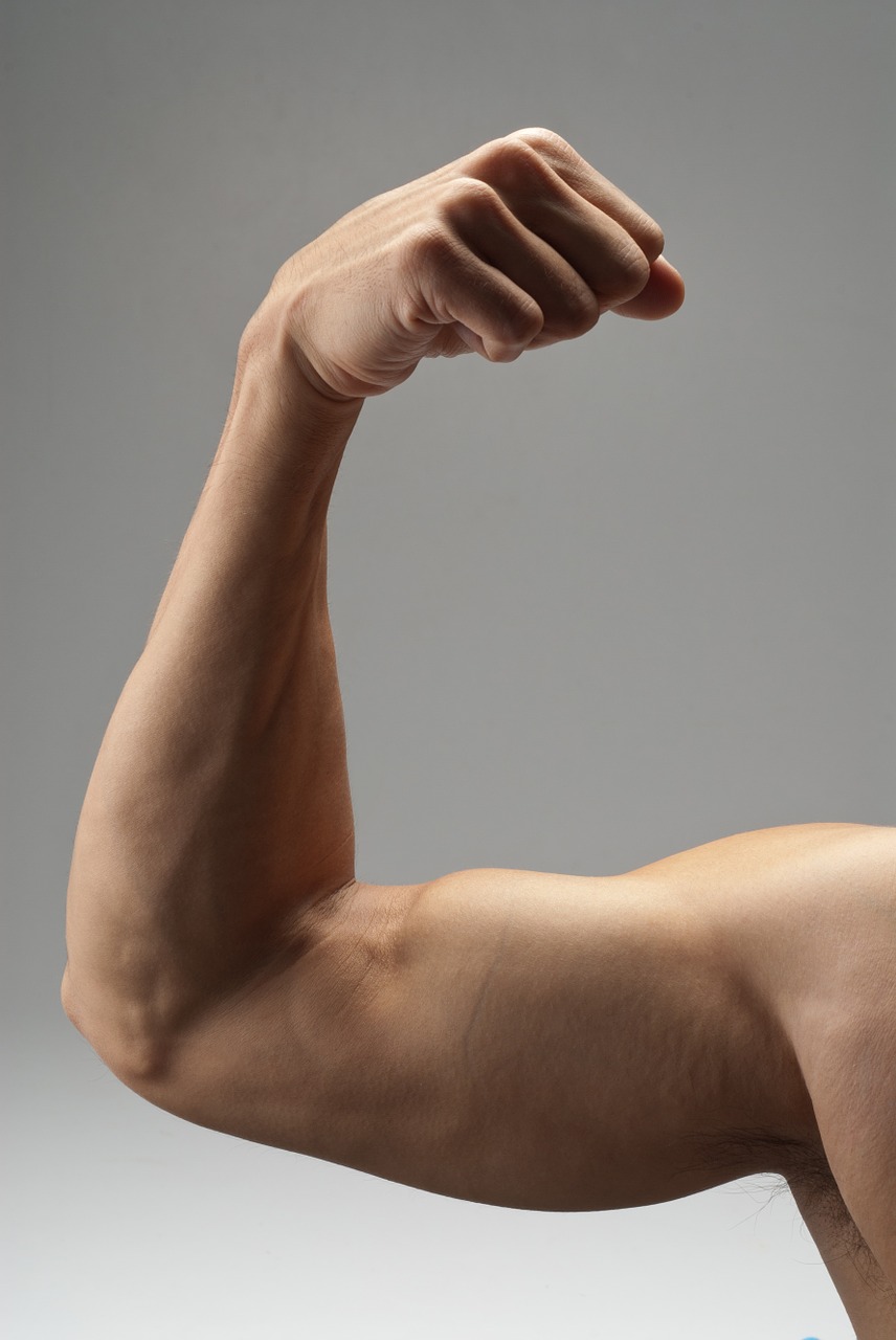 Image - arm muscle strong biceps exercise