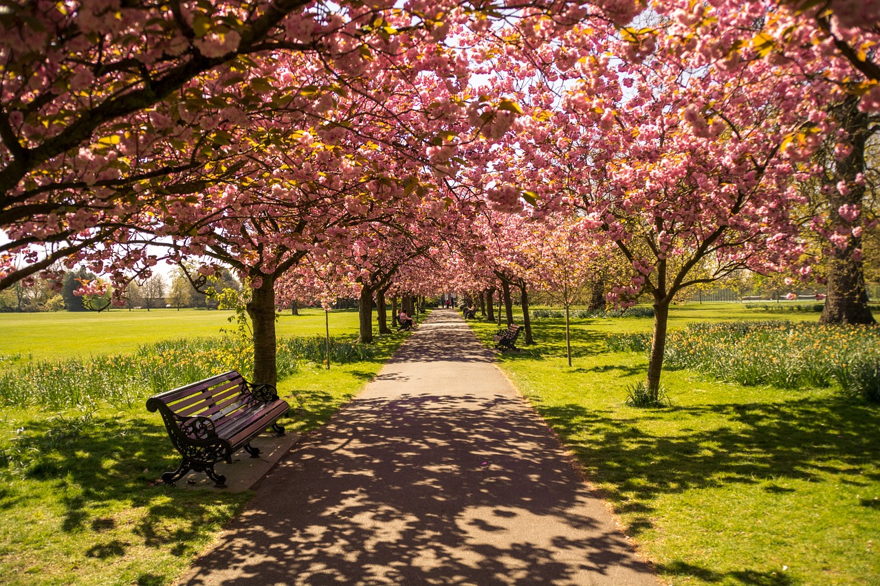 Image - park london england nature uk