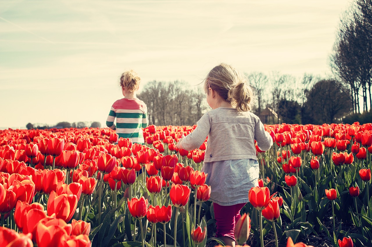 Image - girls children tulips netherlands