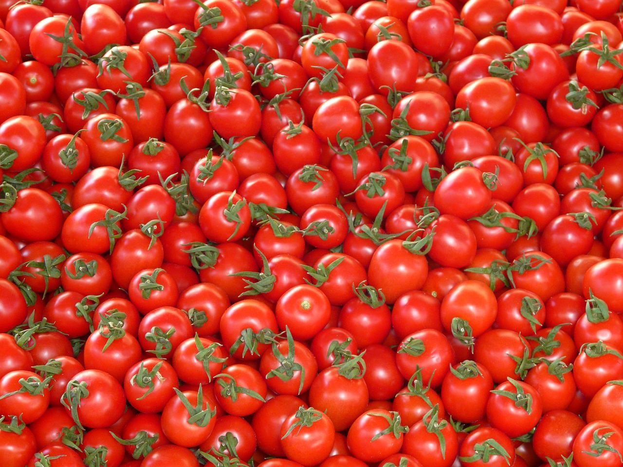 Image - tomatoes vegetables red delicious