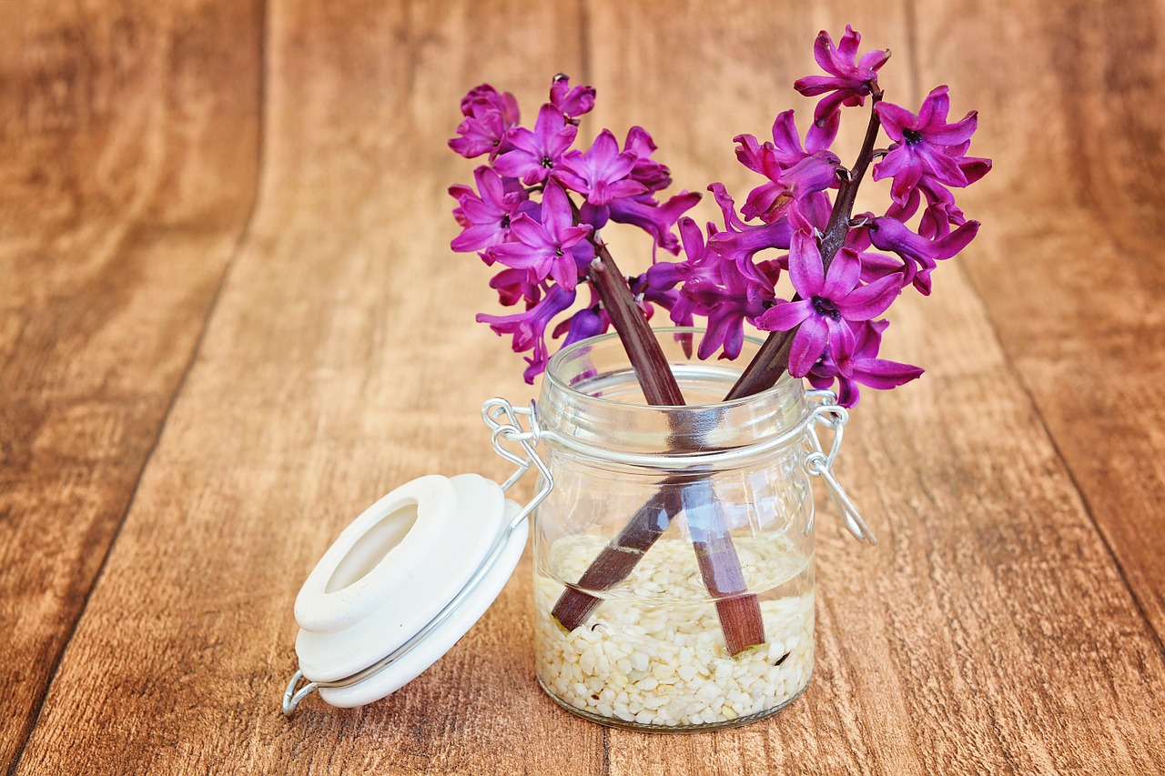 Image - hyacinth flowers pink fragrant