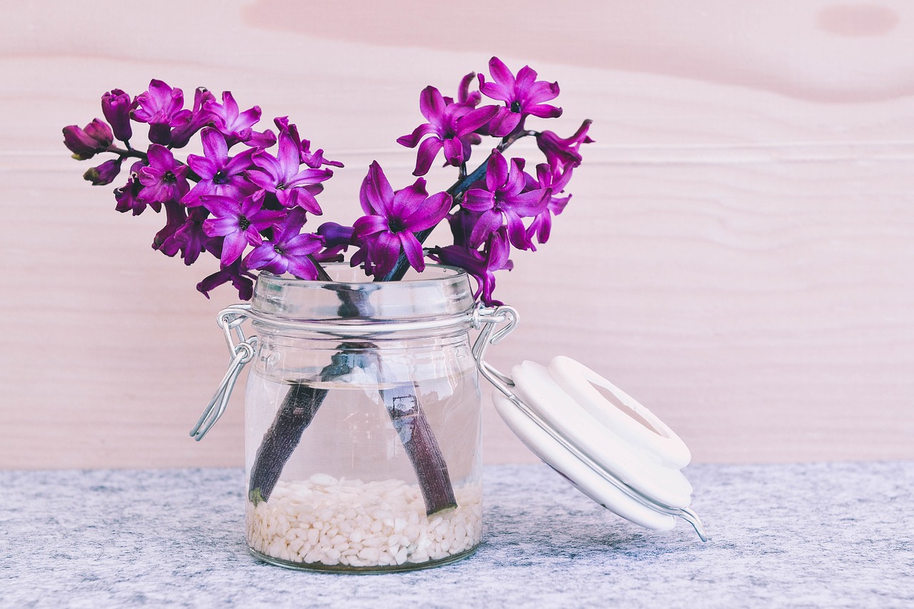 Image - hyacinth flower blossom bloom pink