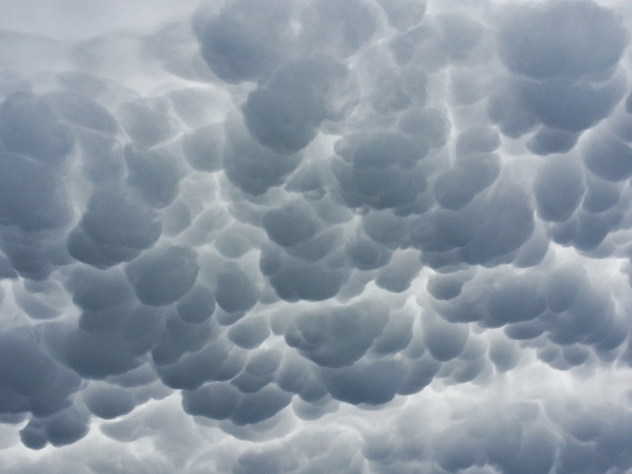 Image - clouds mammatus mammatus cloud