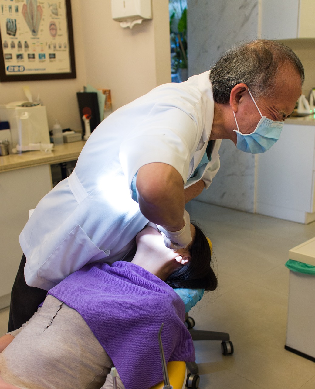 Image - dentist medical dental doctor