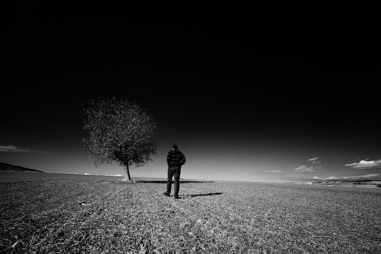 Image - landscape solitude man tree