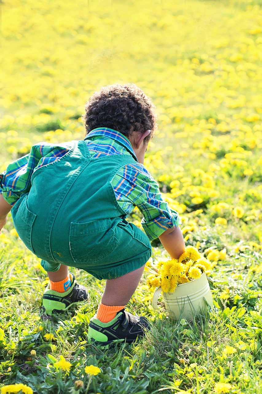 Image - little boy in dandelions dandelions