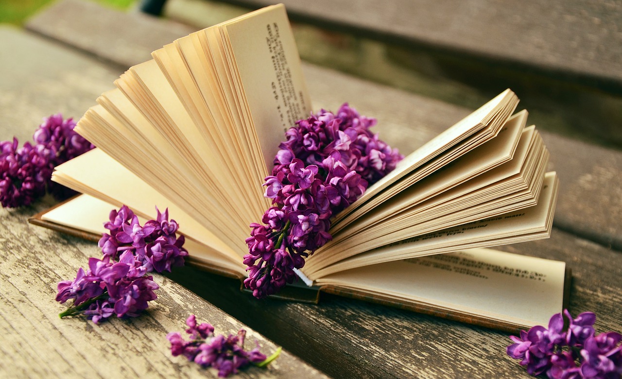 Image - book read relax lilac bank old