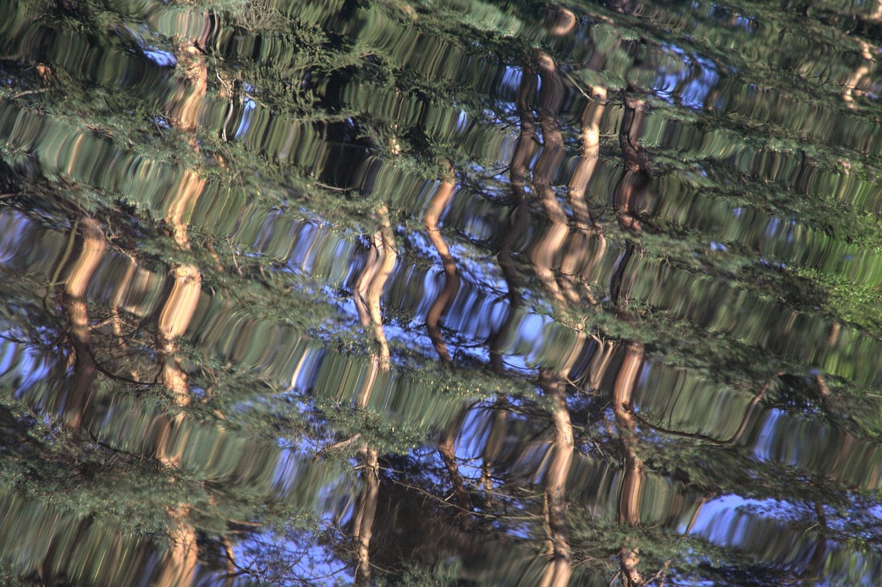 Image - water reflections mirroring trees