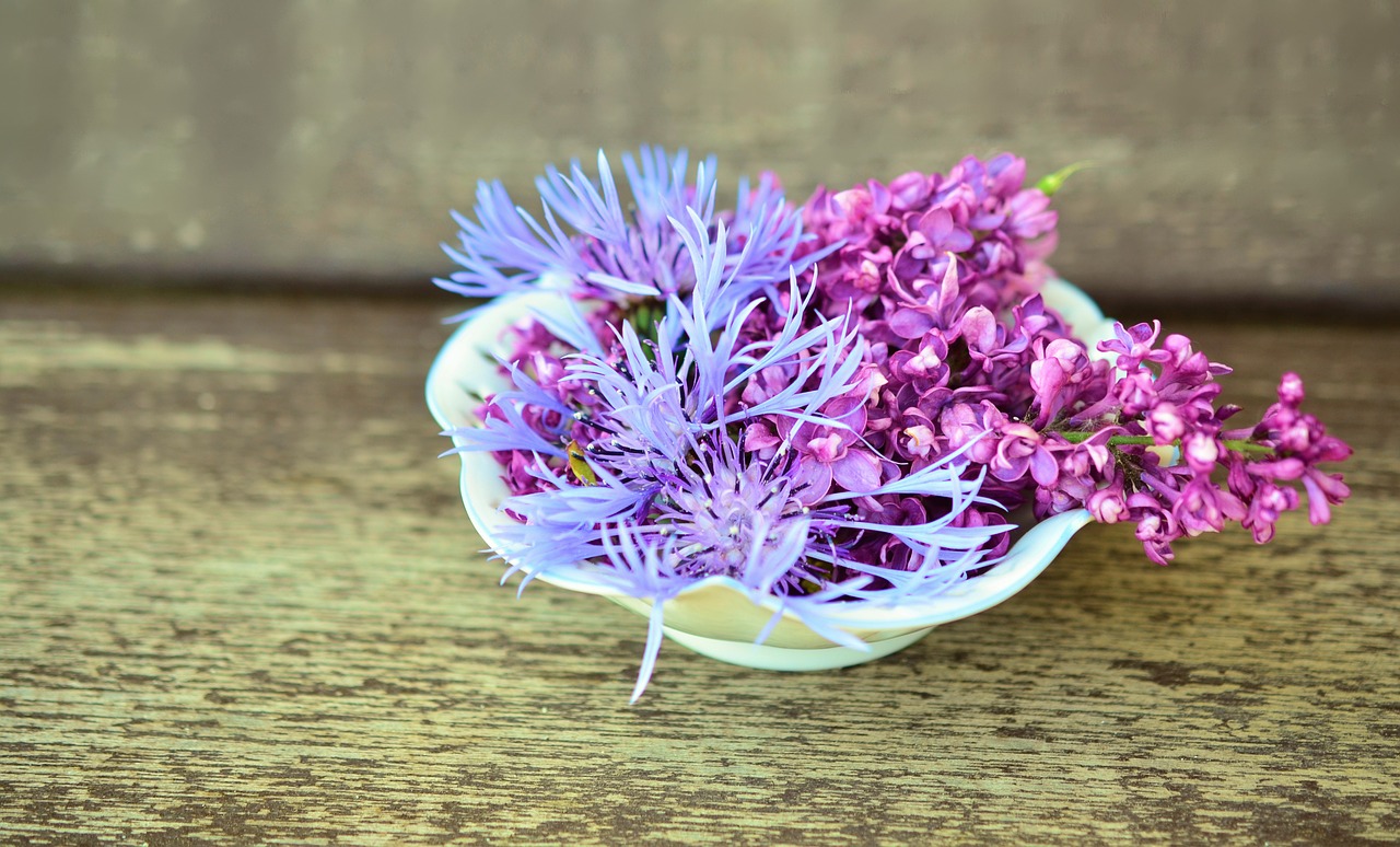 Image - flowers flower bowl wood tender