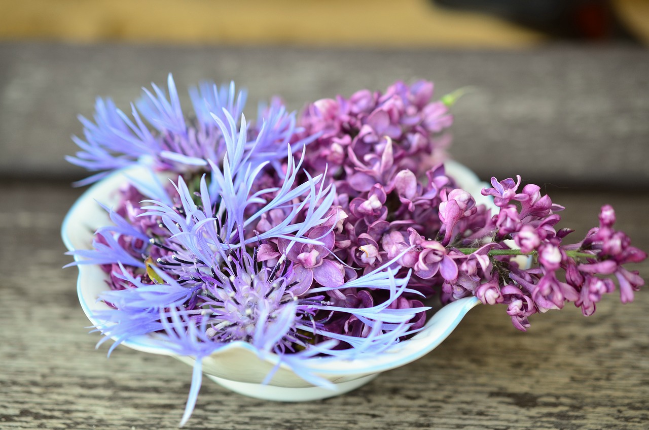 Image - flowers flower bowl hall porcelain