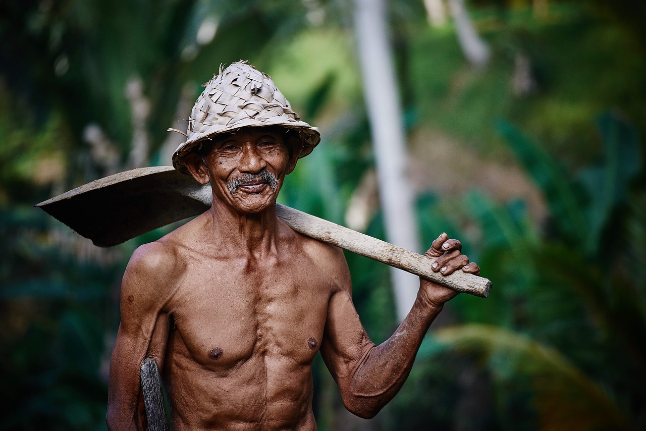 Image - person old man worker hat asian