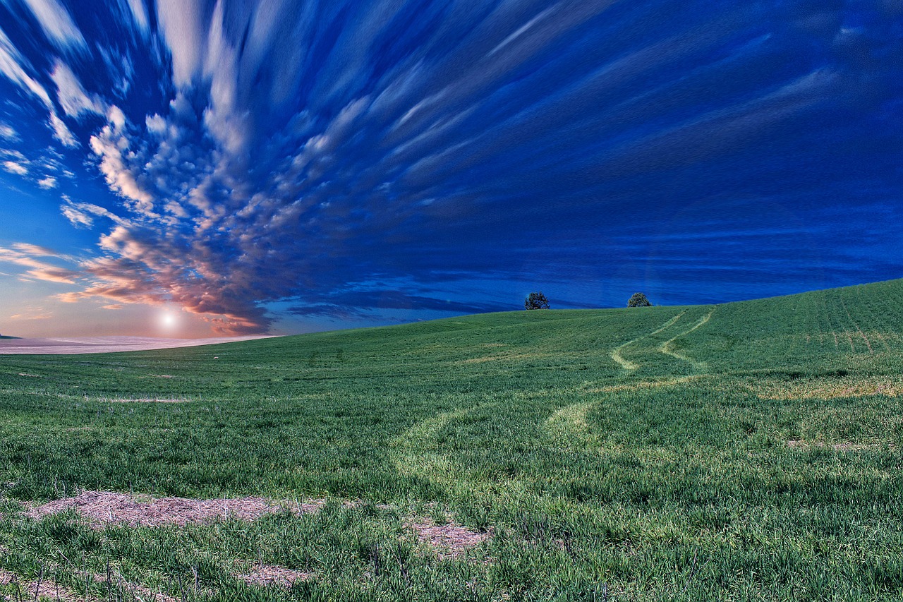 Image - field meadow nature grass green