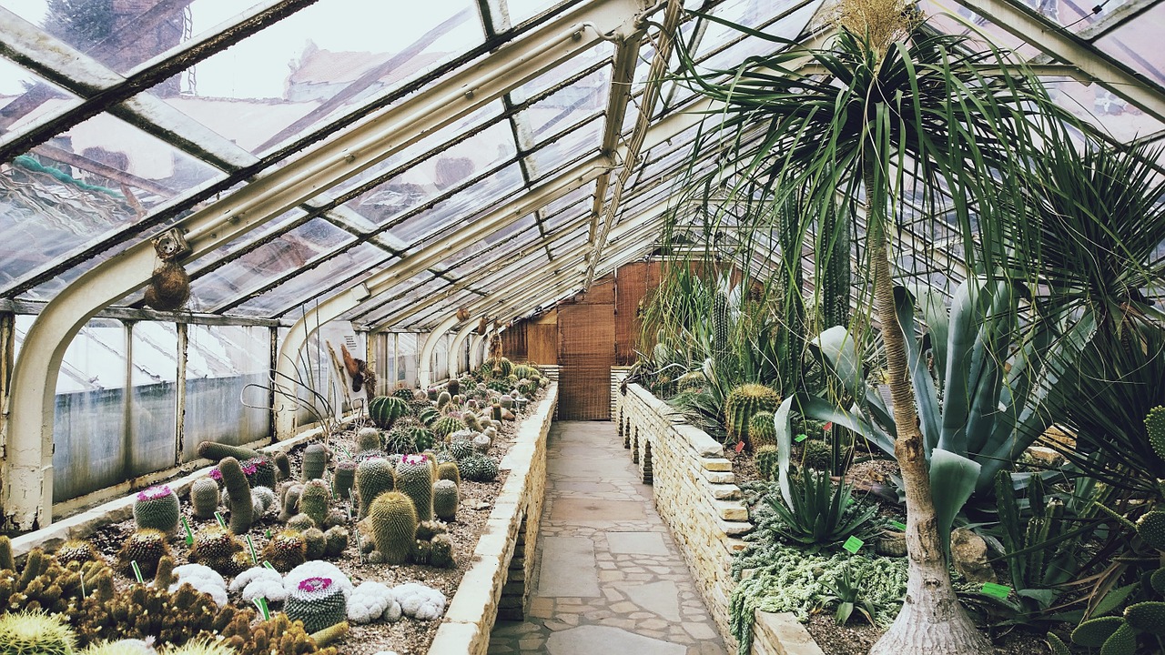 Image - greenhouse cultivation desert