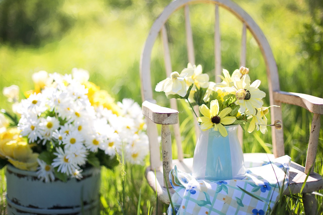 Image - summer still life daisies yellow