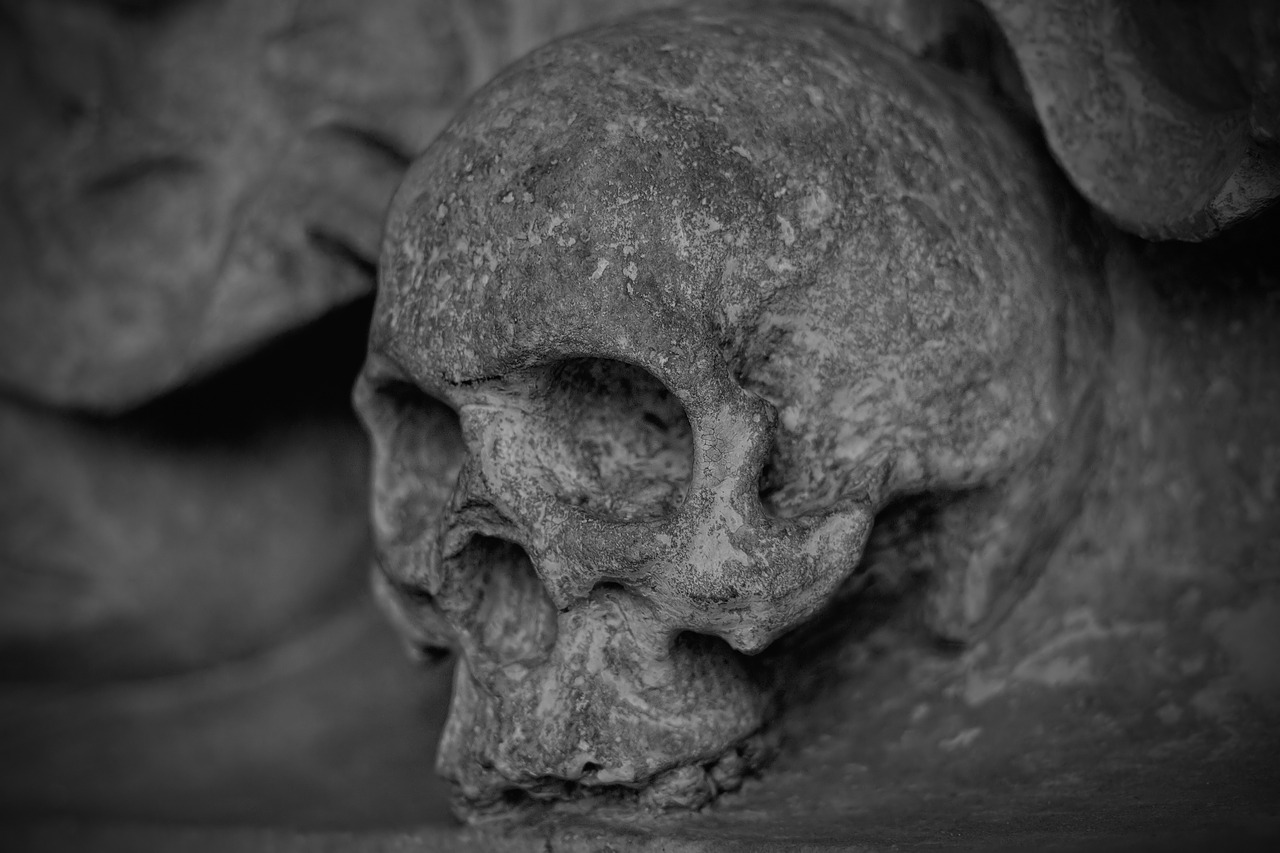 Image - skull and crossbones skull dead