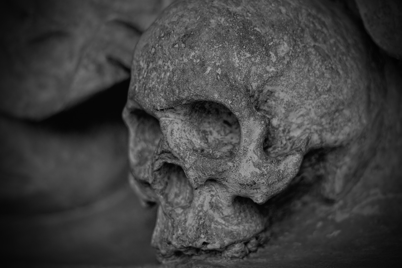 Image - skull and crossbones skull dead