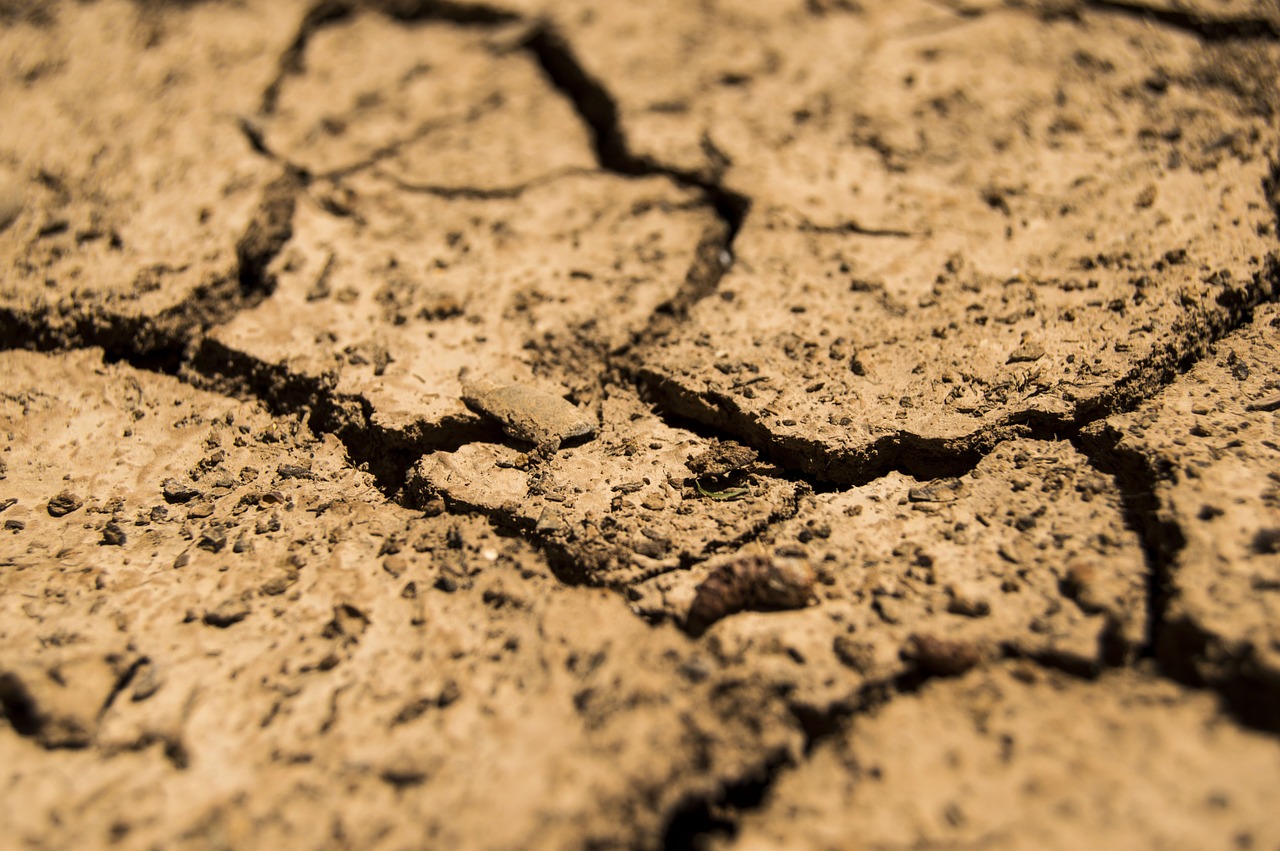 Image - drought aridity dry earth soil