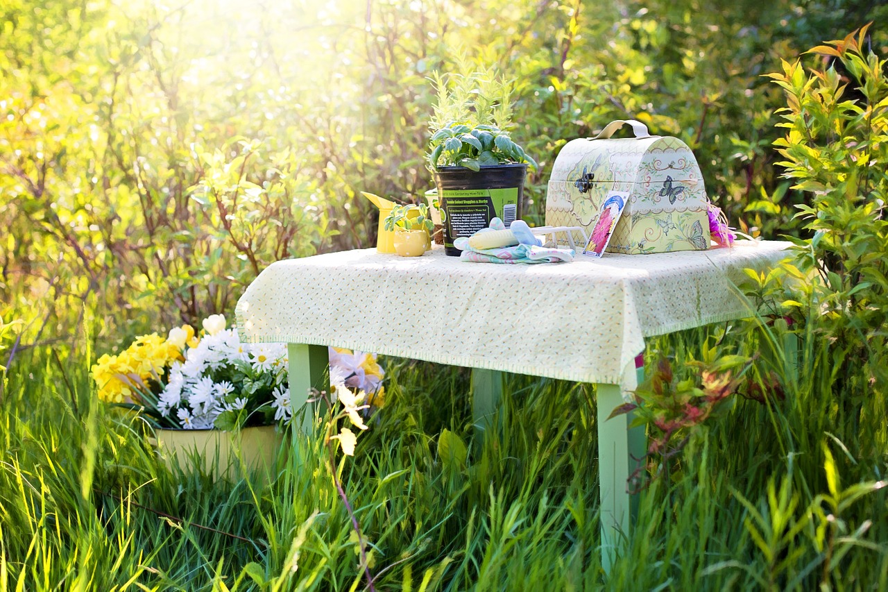 Image - planting herbs summer gardening