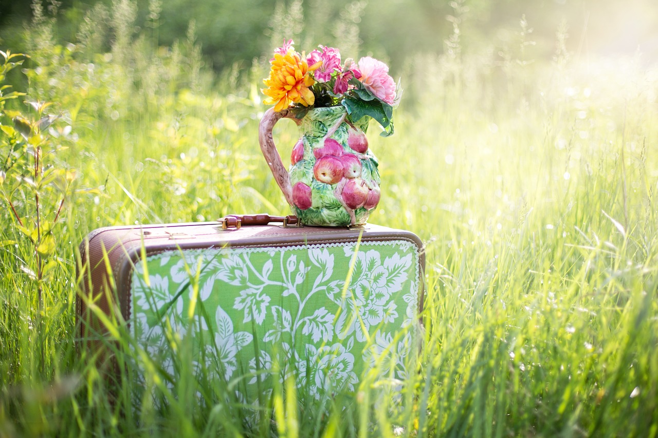 Image - summer still life suitcase in field