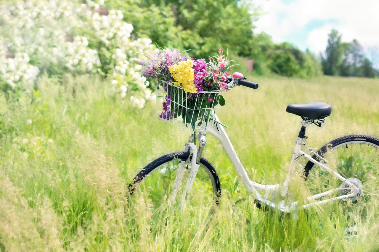 Image - bicycle meadow flowers grass bike