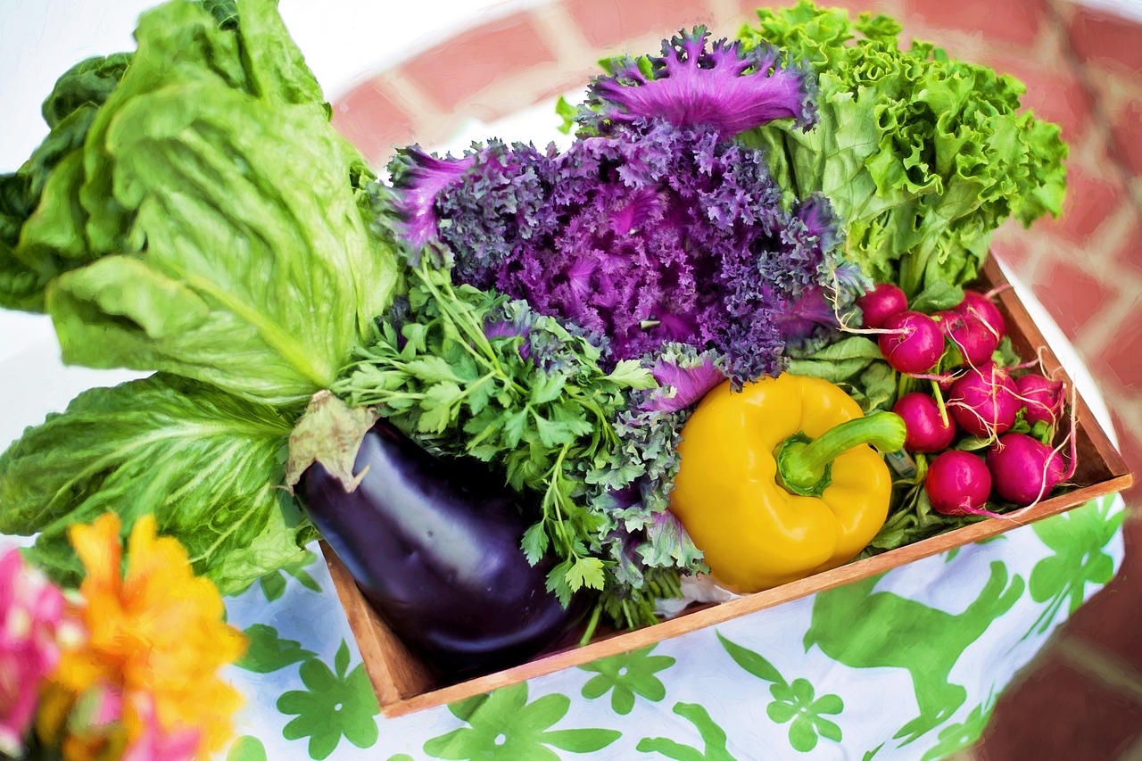 Image - vegetables garden harvest organic