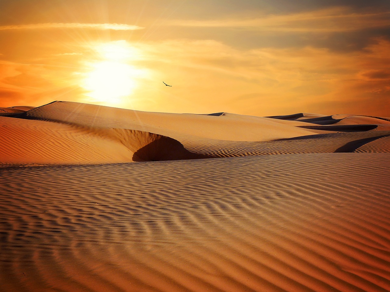 Image - desert sand landscape sun sunset