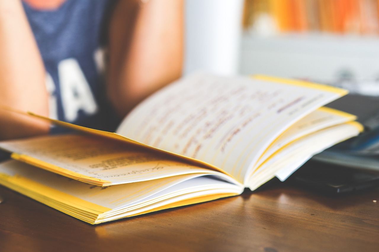 Image - girl woman female read reading