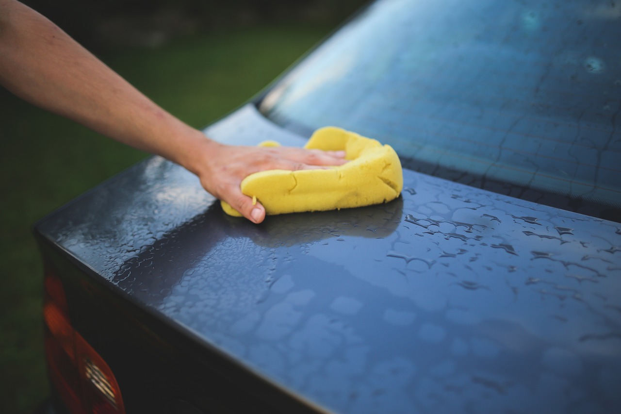 Image - cleaning washing carwash sponge