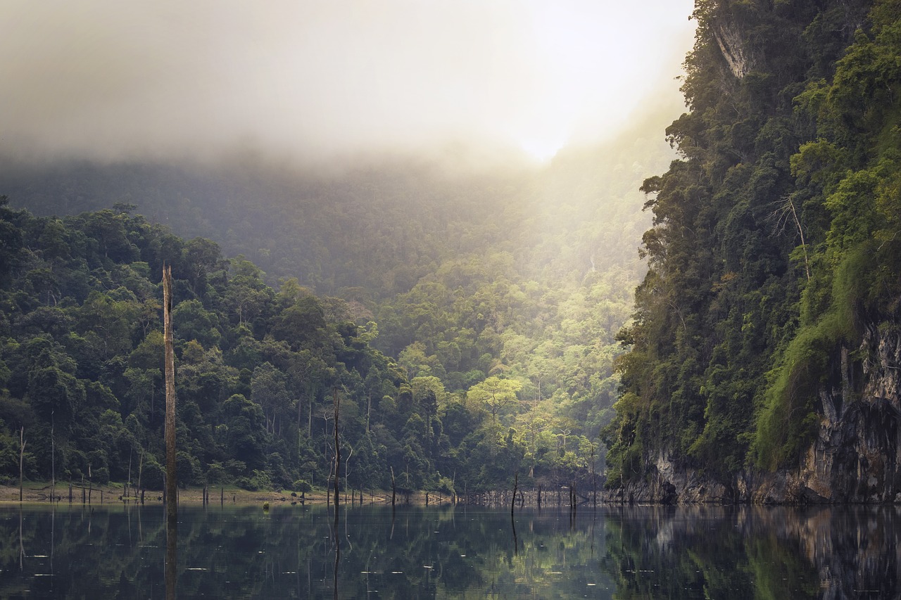 Image - lake rain forest tropical