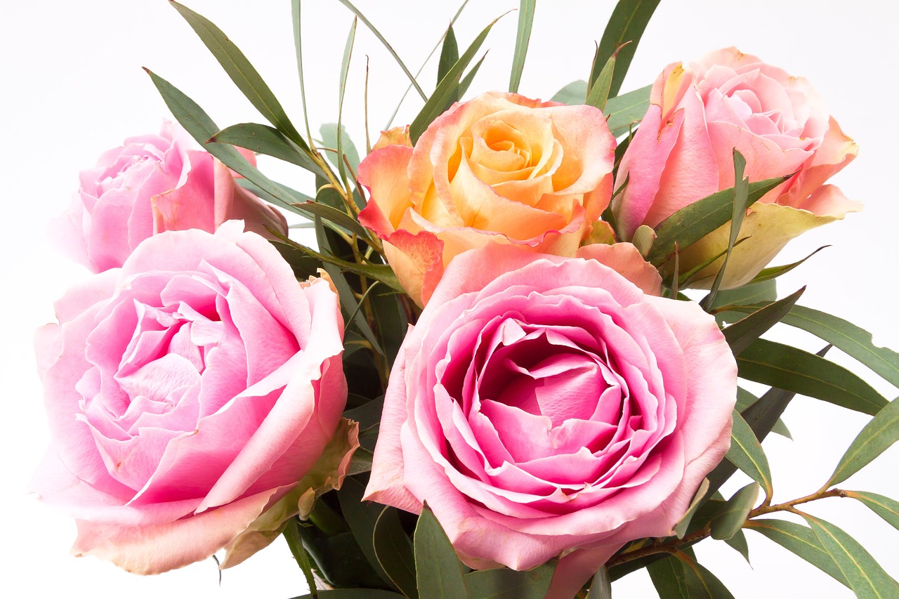 Image - rose bouquet flower composites