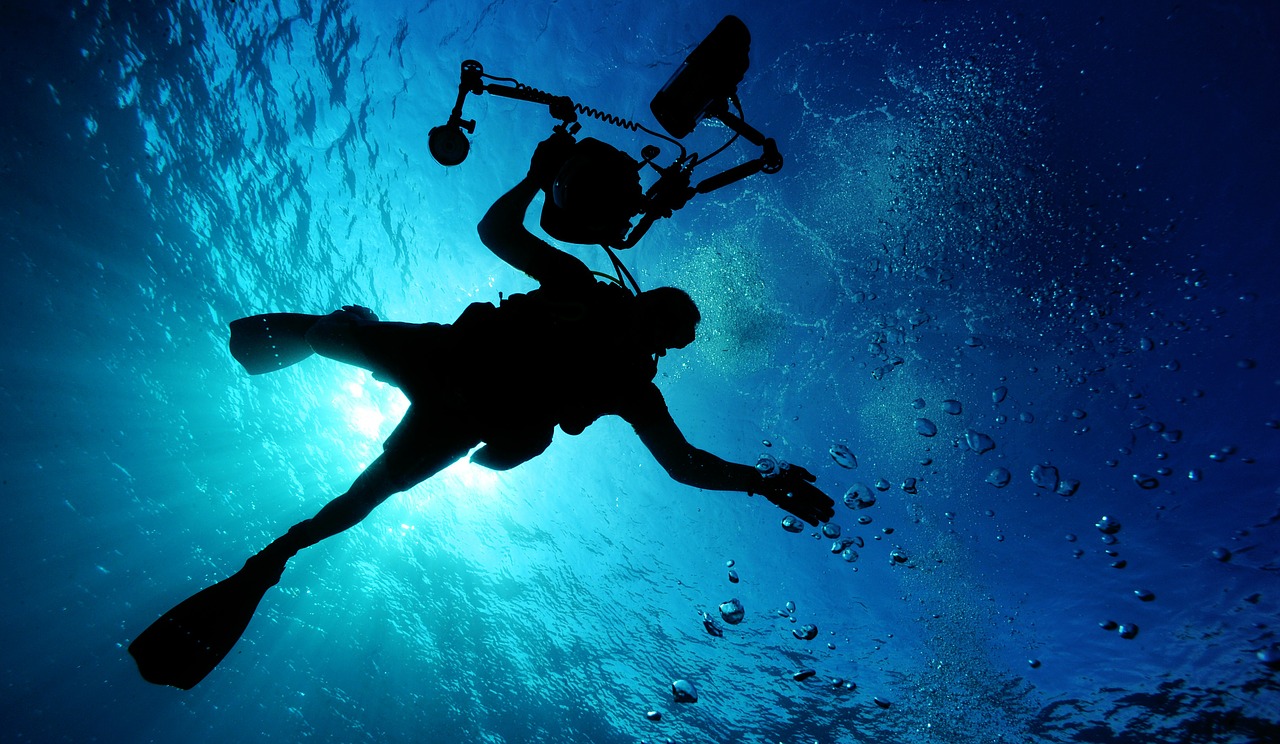 Image - sea ocean water light diver