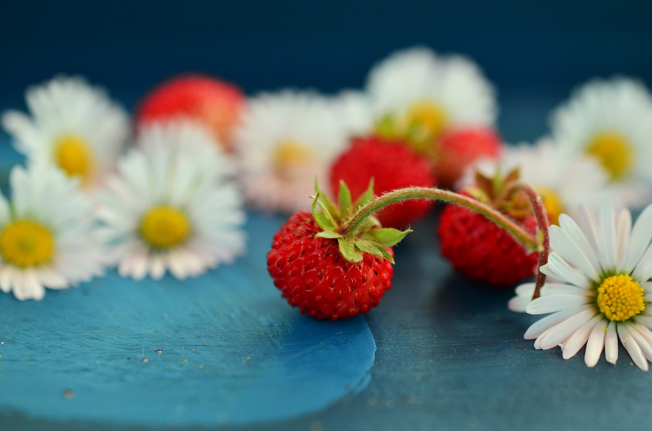 Image - strawberries wild strawberries daisy