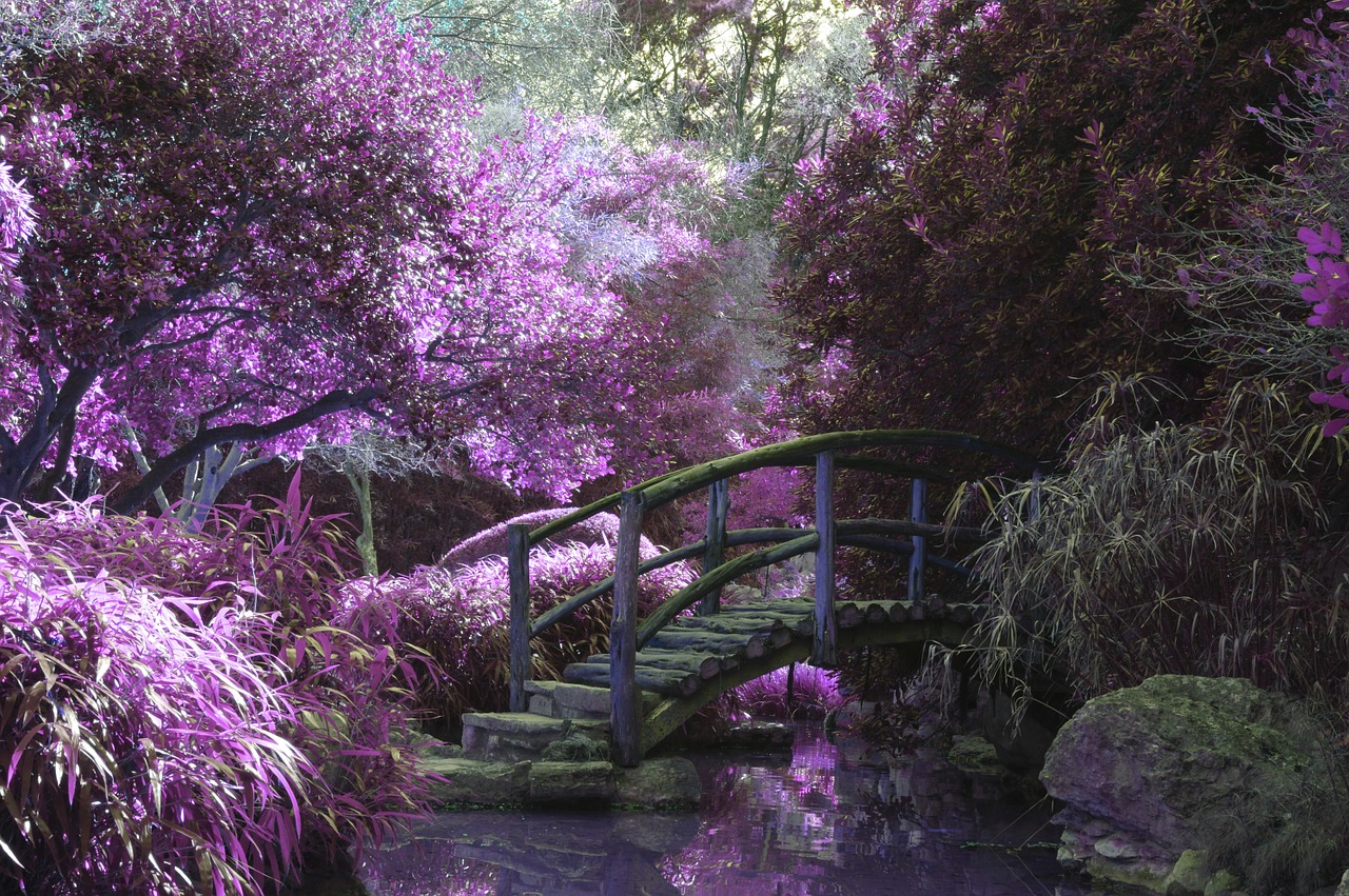 Image - bridge pink blossoms garden park