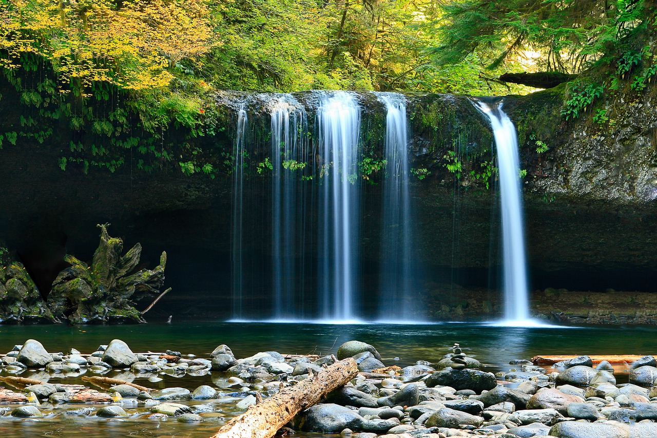 Image - waterfall rocks trees forest woods