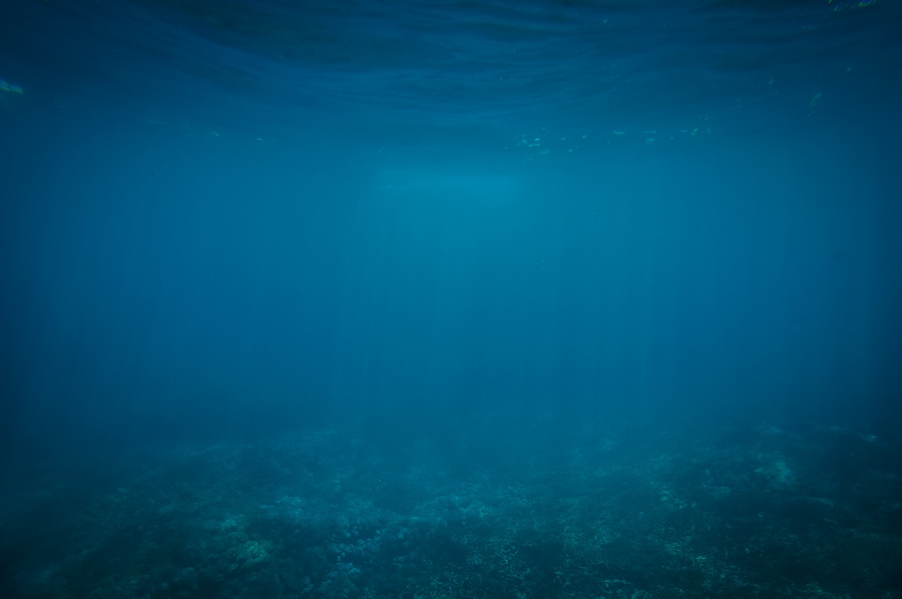 Image - underwater blue ocean sea diving