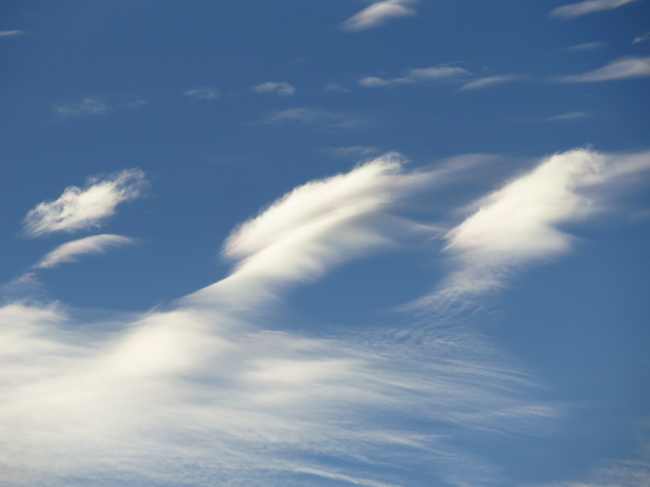 Image - sky clouds blue cloud contrail