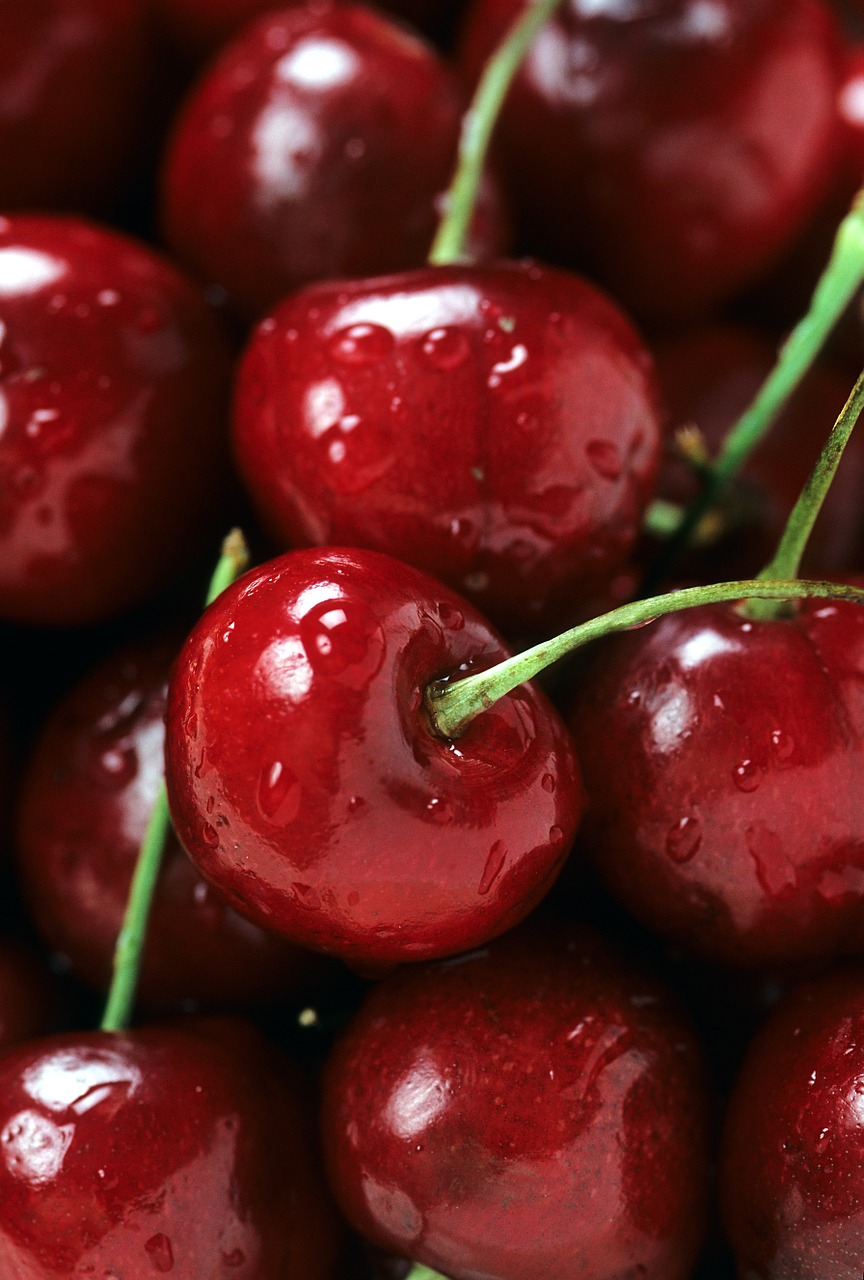 Image - bing cherries ripe red fruit stem