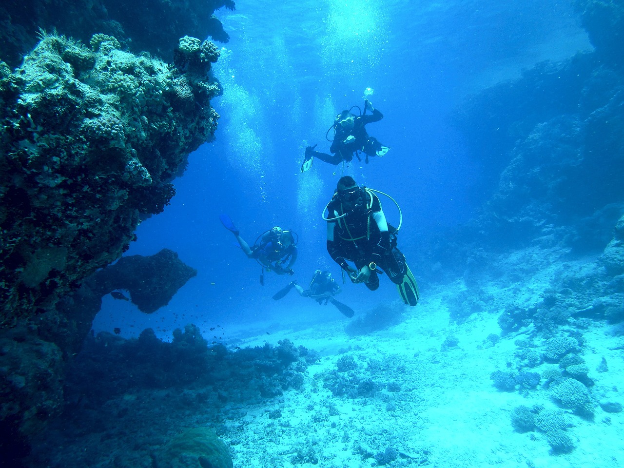 Image - diving underwater sea float