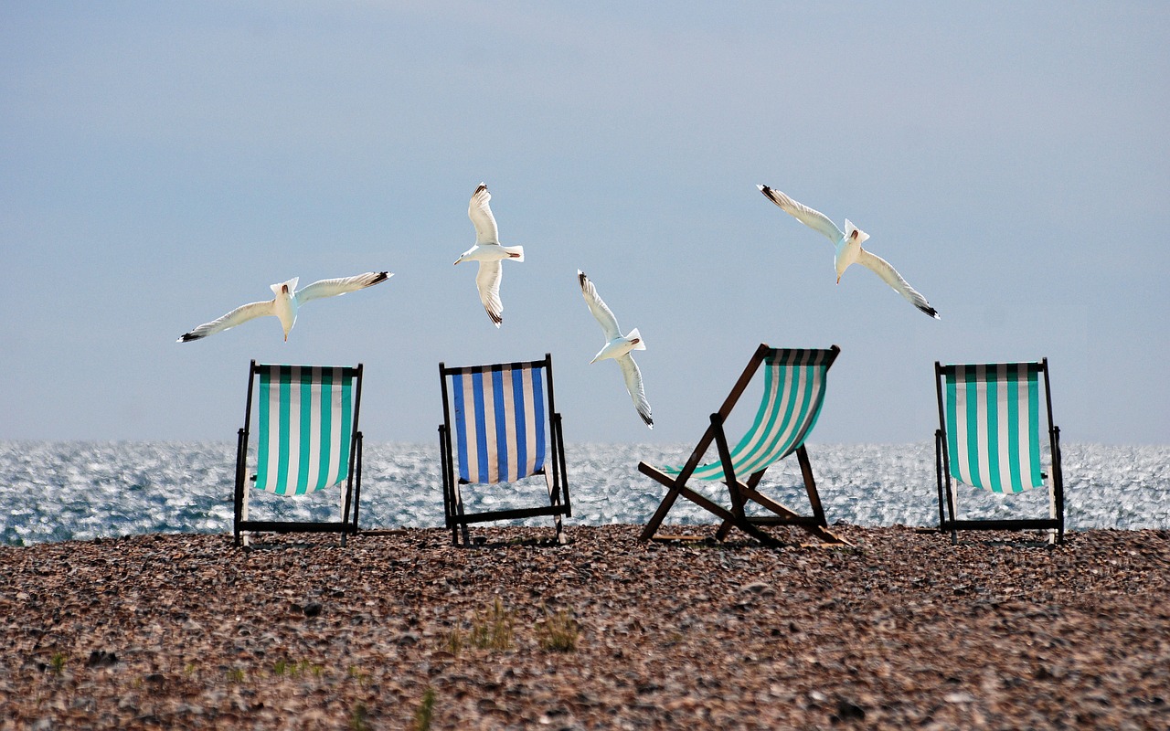 Image - summer beach seagulls deckchairs