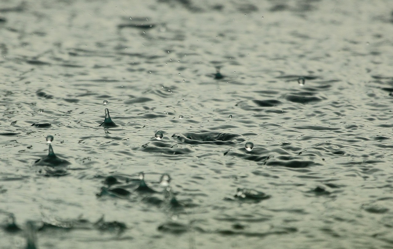 Image - water priroda drops rain